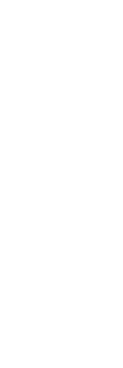 nia_left_shape